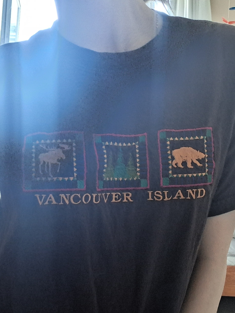 90s Gildan Chocolate Brown Ultra Cotton Heavyweight T-Shirt